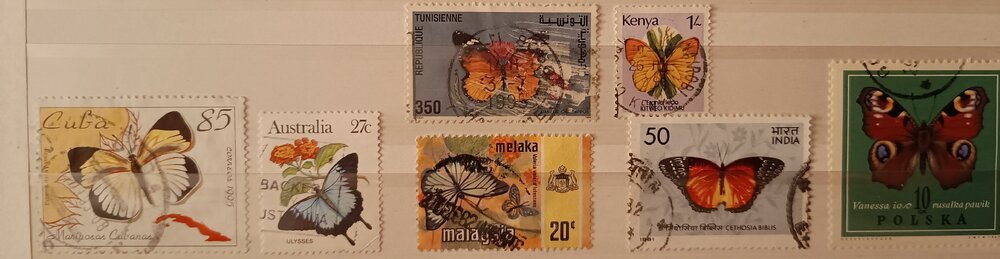 IMG_20250306_204038458 (1) (2).jpg