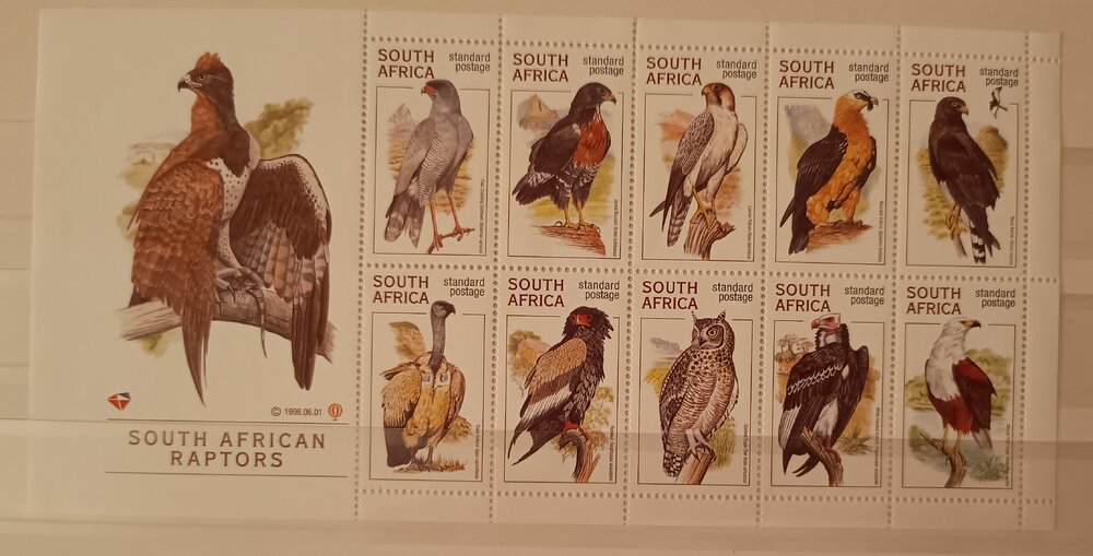 IMG_20250307_204508381 (1).jpg