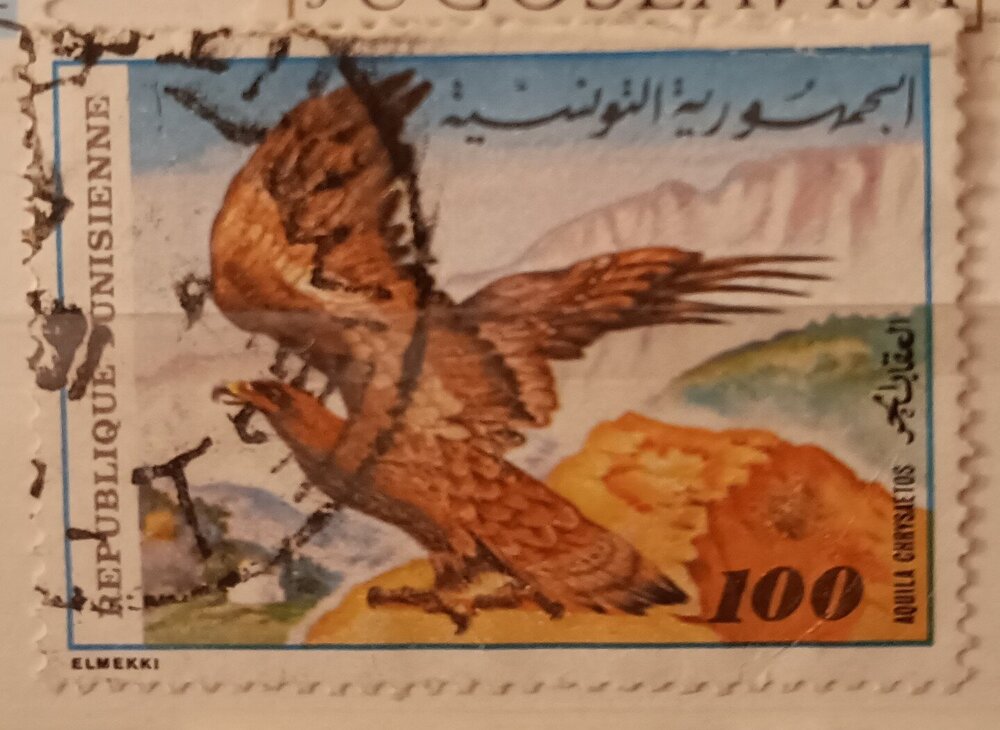 IMG_20250307_204528372 (1).jpg