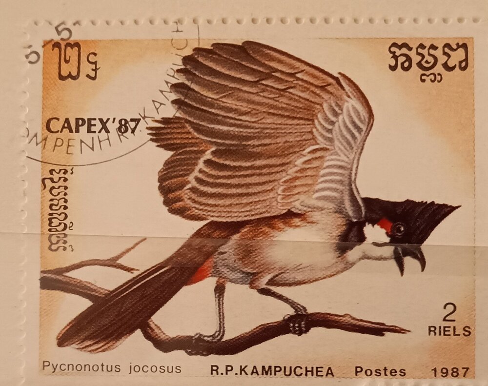 IMG_20250307_204532178 (1).jpg