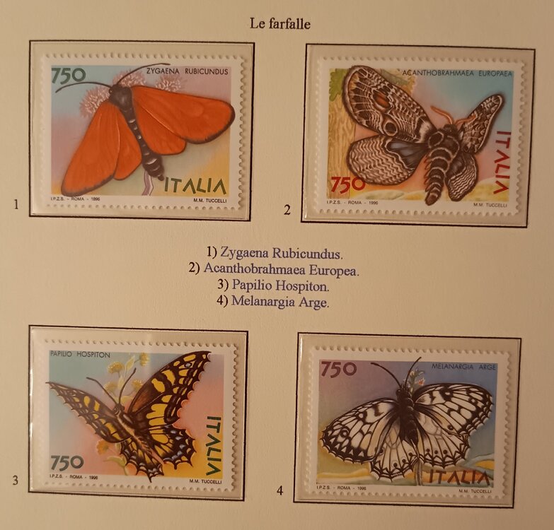 IMG_20250307_205117987 (1).jpg