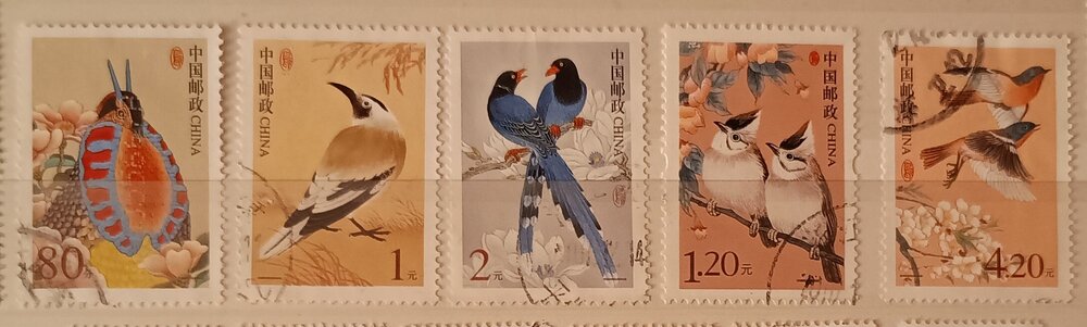 IMG_20250307_205124606 (1).jpg