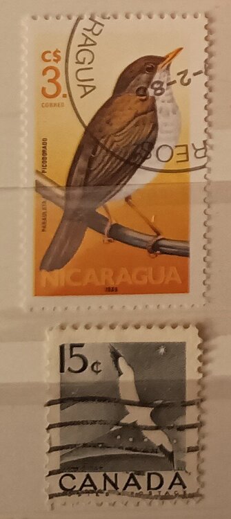 IMG_20250307_205124606 (2).jpg