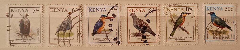 IMG_20250307_205124606 (2).jpg