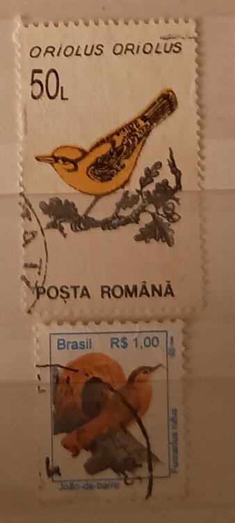 IMG_20250307_205124606 (3).jpg