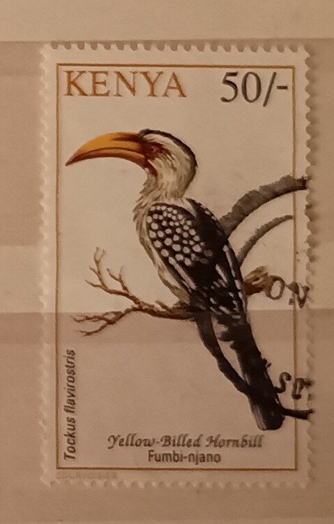 IMG_20250307_205124606 (3).jpg