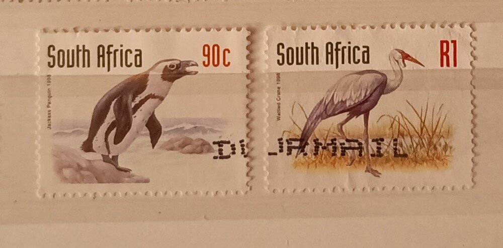 IMG_20250307_205124606 (4).jpg