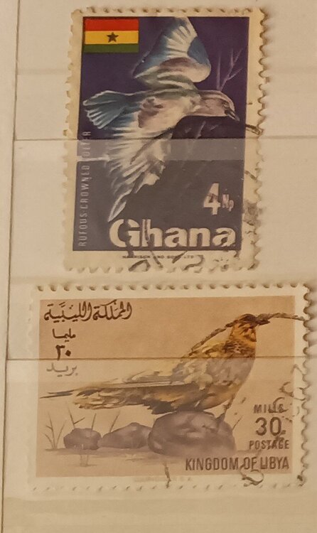 IMG_20250307_205129154 (1).jpg