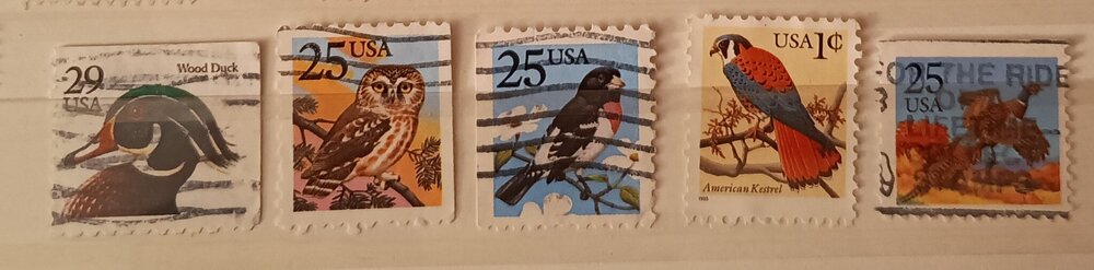 IMG_20250307_205129154 (2).jpg