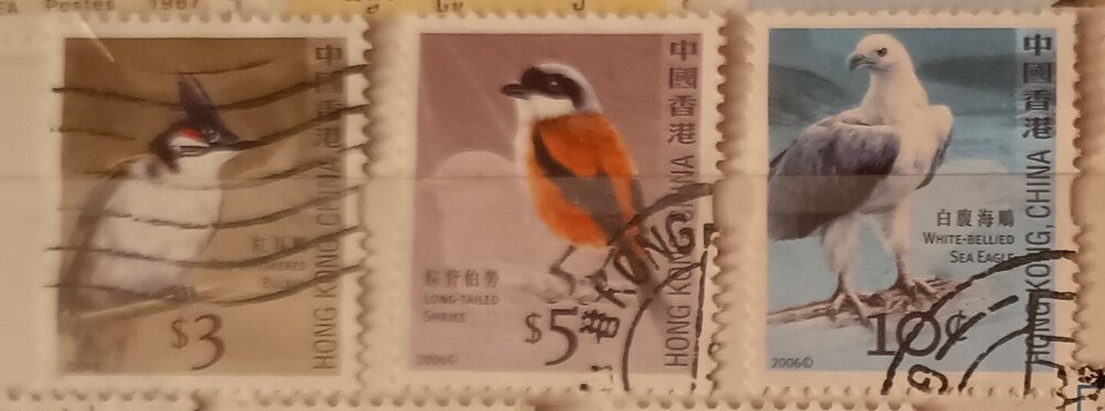 IMG_20250307_205211818 (1).jpg