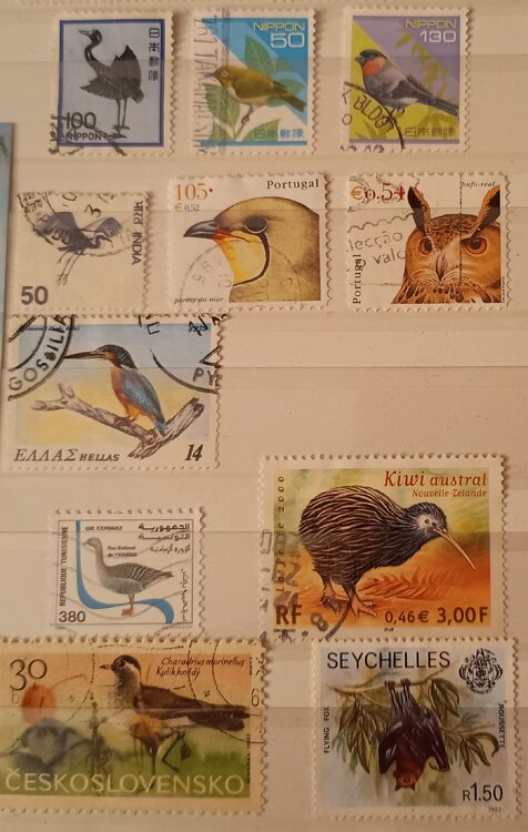 IMG_20250307_205216785 (1).jpg