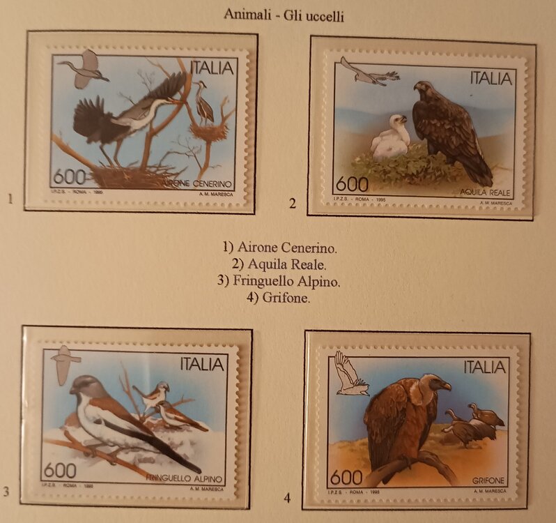 IMG_20250307_210527504 (1).jpg