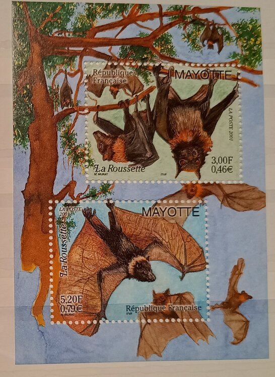 IMG_20250307_211015121_HDR (1).jpg