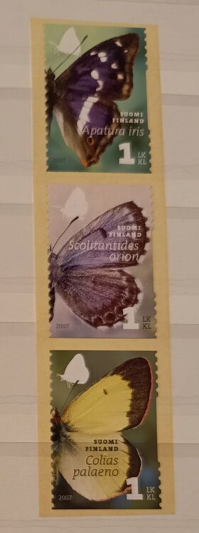 IMG_20250307_211032952_HDR (1).jpg