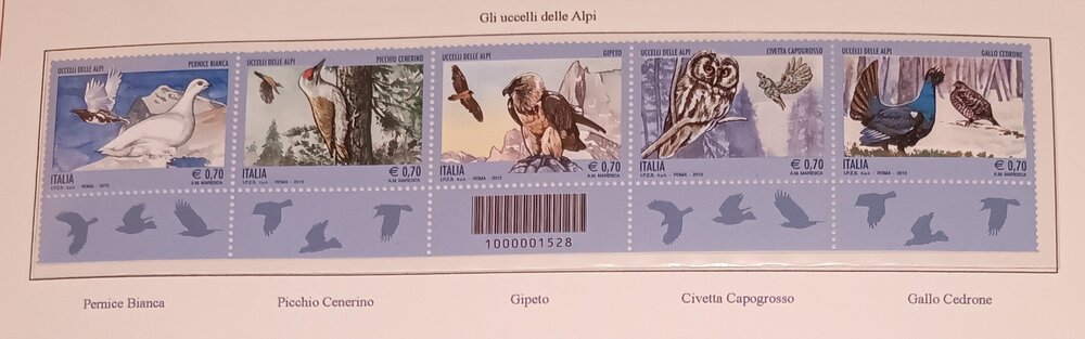 IMG_20250307_215200014 (1).jpg