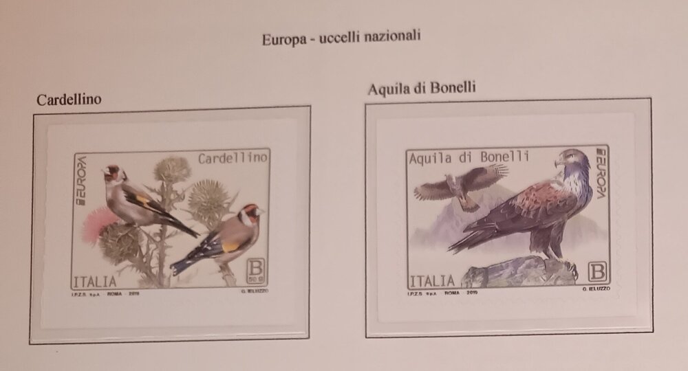 IMG_20250307_215242901 (1).jpg