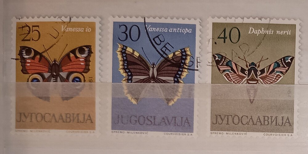 IMG_20250307_232838195 (1).jpg