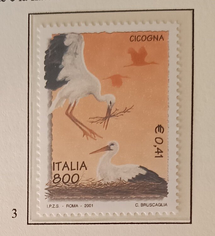 IMG_20250308_084552023 (1).jpg