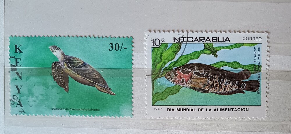 IMG_20250308_123023245 (1).jpg