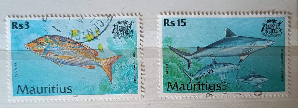 IMG_20250308_123026378 (1).jpg