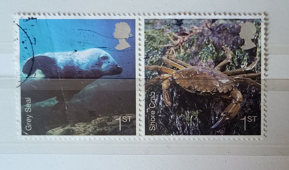 IMG_20250308_123028524 (1).jpg