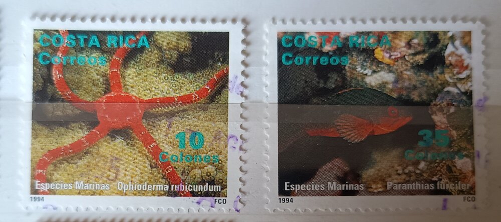 IMG_20250308_123032892 (1).jpg