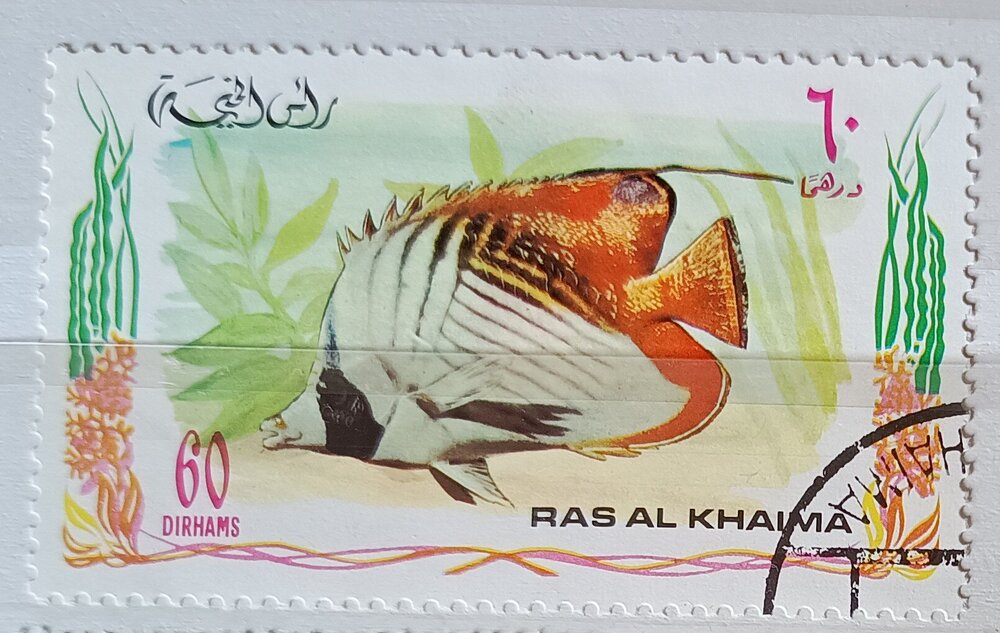 IMG_20250308_123039268 (1).jpg