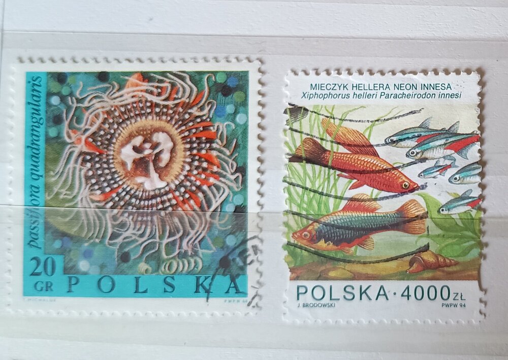 IMG_20250308_123042002 (1).jpg