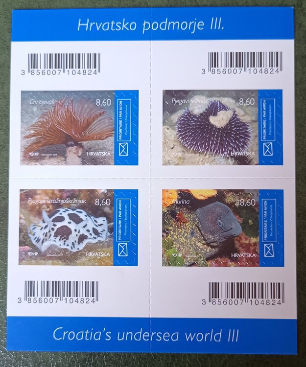 IMG_20250308_123127496 (1).jpg