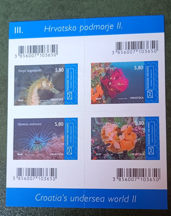 IMG_20250308_123152638 (1).jpg