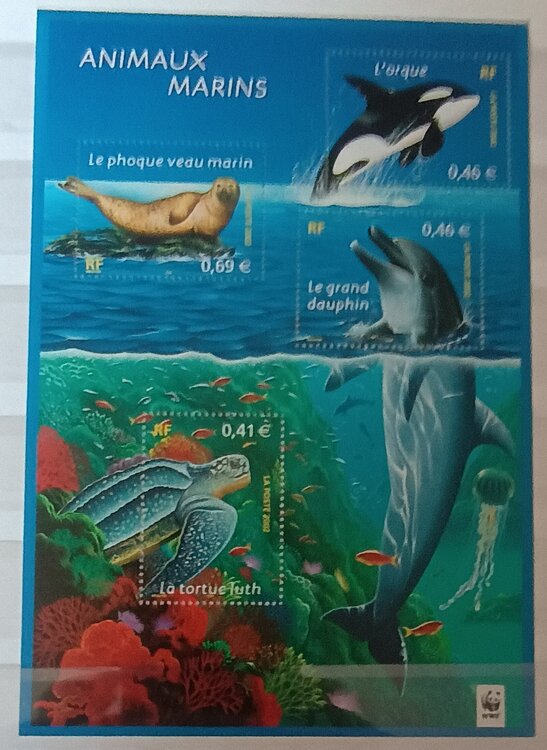 IMG_20250308_123230686 (1).jpg