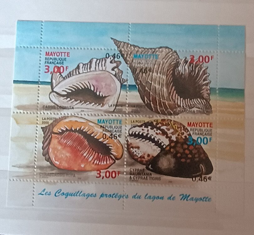 IMG_20250308_123235658 (1).jpg