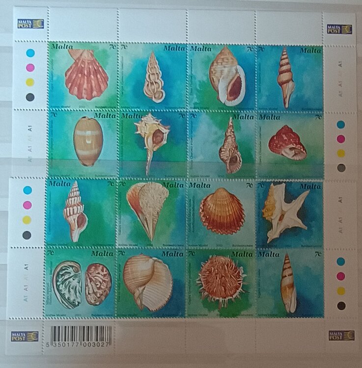 IMG_20250308_123243246 (1).jpg