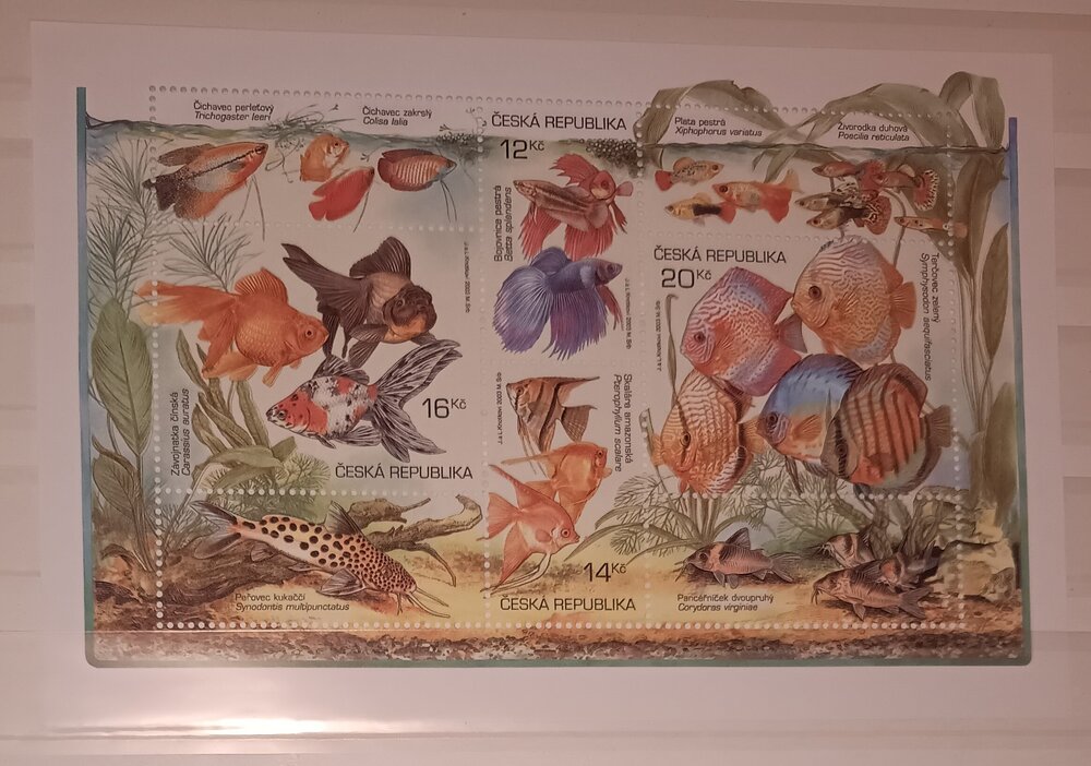 IMG_20250308_185338917 (1).jpg