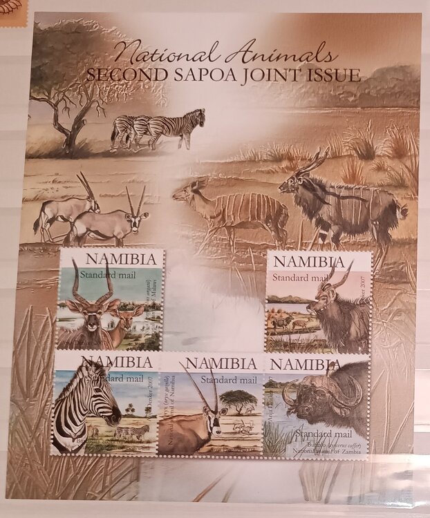 IMG_20250311_214505017 (1).jpg