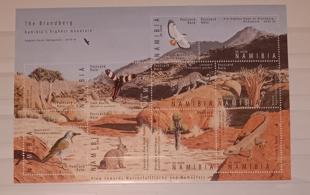 IMG_20250311_214516330 (1).jpg