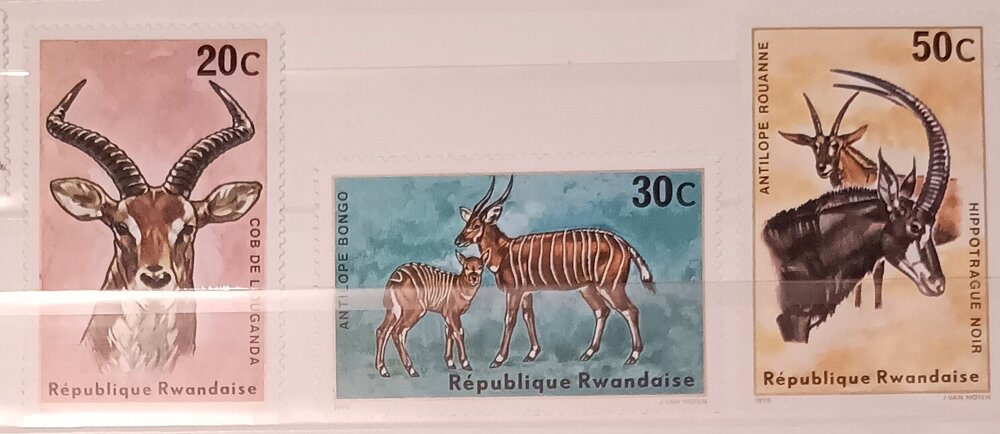 IMG_20250311_214525385 (2).jpg