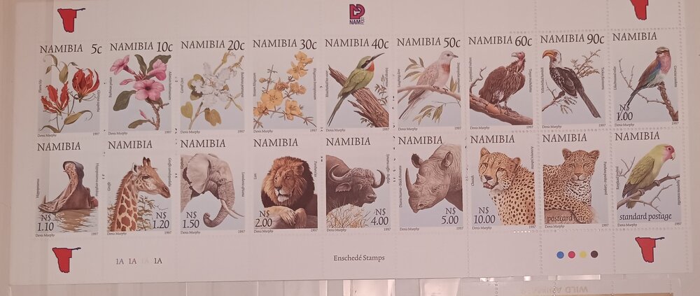 IMG_20250311_214535003 (1).jpg