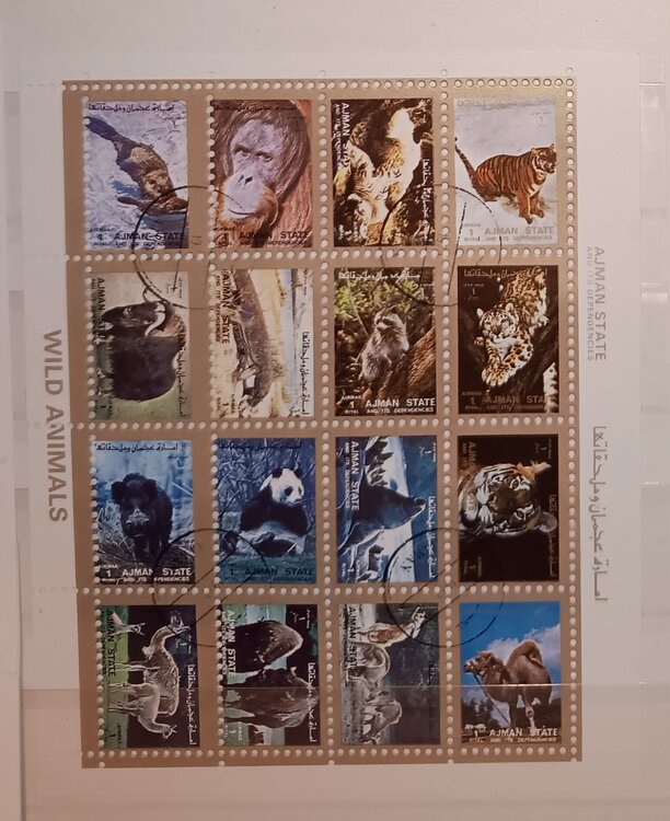 IMG_20250311_214551847 (1).jpg