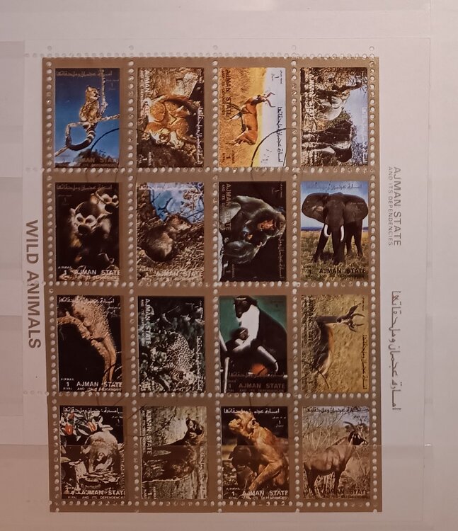 IMG_20250311_214556875 (1).jpg