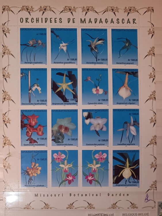 IMG_20250319_202705123 (1).jpg