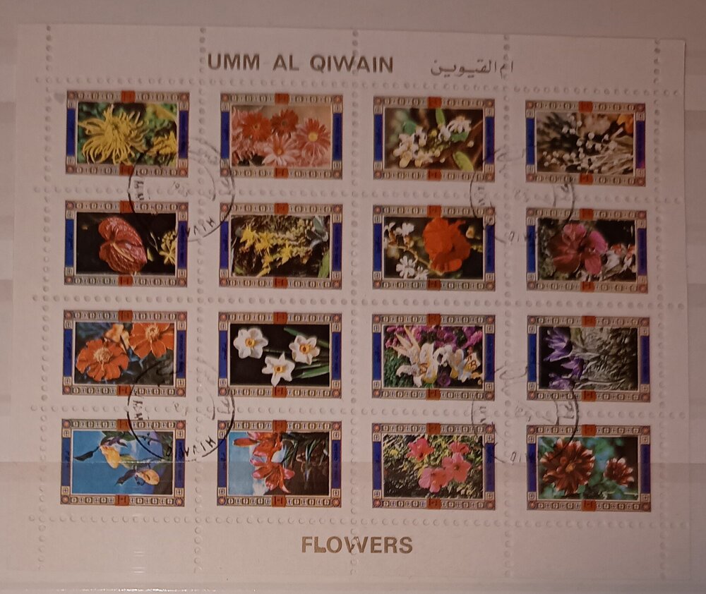 IMG_20250319_202715756 (1).jpg