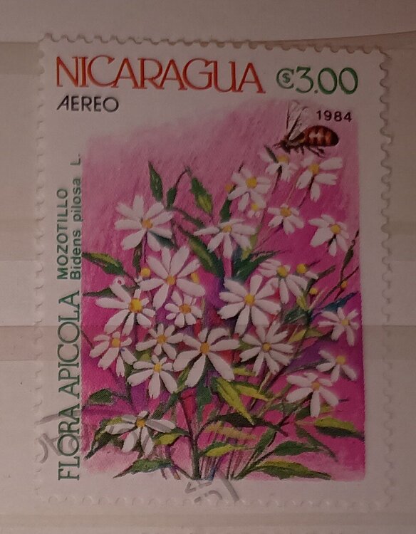 IMG_20250319_202754821 (1).jpg