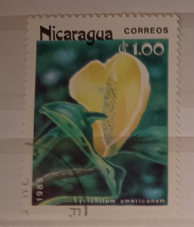 IMG_20250319_202754821 (2).jpg