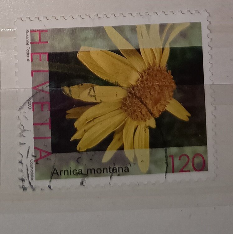 IMG_20250319_202754821 (3).jpg