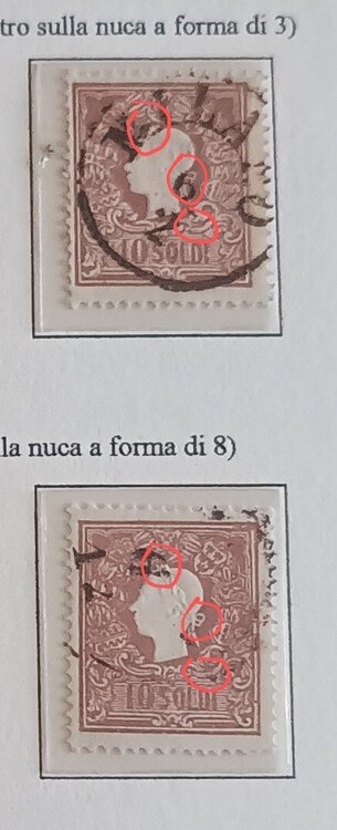 IMG_20250323_161634485 (1) (1).jpg