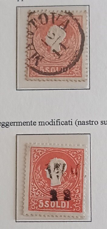 IMG_20250323_161634485 (2).jpg