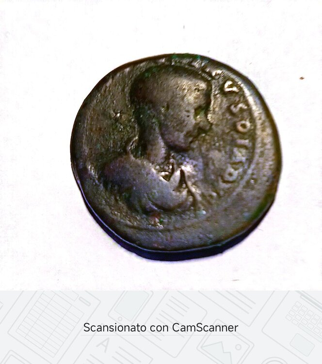 Immagine WhatsApp 2025-03-13 ore 09.13.26_b5414af3.jpg