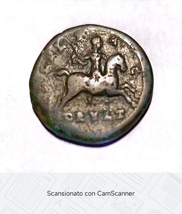 Immagine WhatsApp 2025-03-13 ore 09.15.07_7ce0733c.jpg