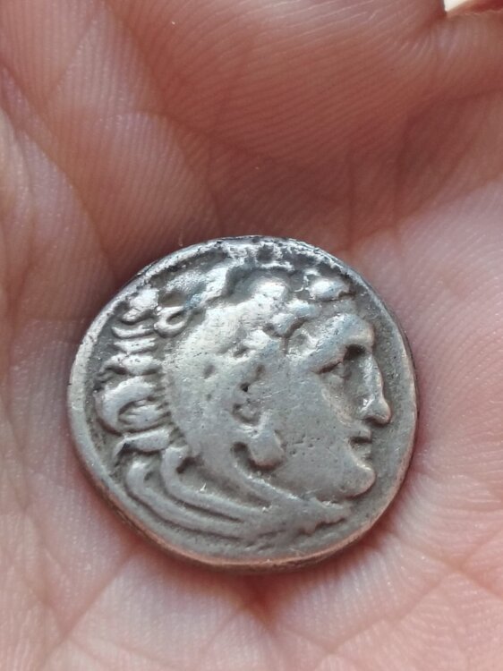 Immagine WhatsApp 2025-03-19 ore 16.51.52_1946fe1f.jpg